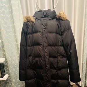 Winter Jacket